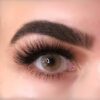 Lentilles de couleur Freshtone Hazelnut