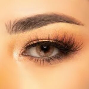 Lentilles de couleur Freshtone Hazelnut