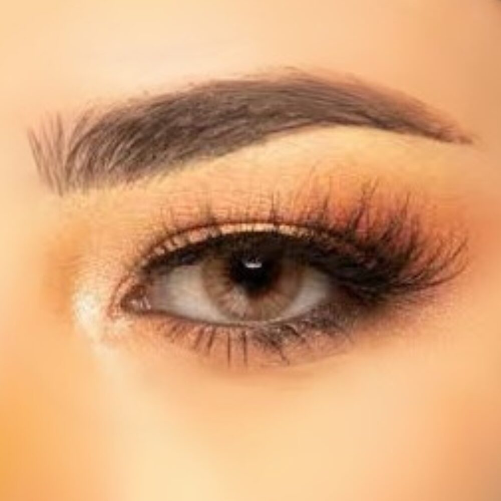 Lentilles de couleur Freshtone Hazelnut