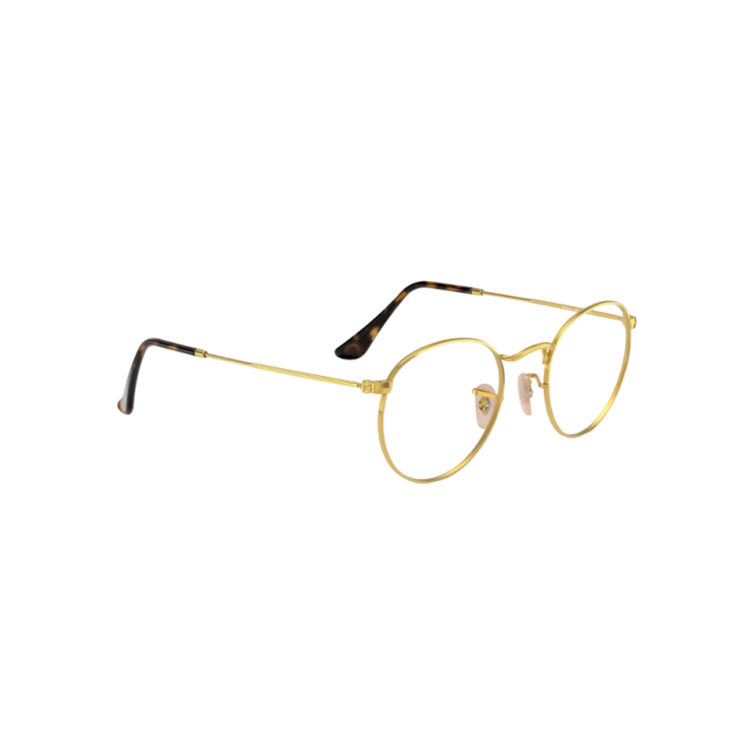 Ray-Ban RB3447V 2500 GOLD