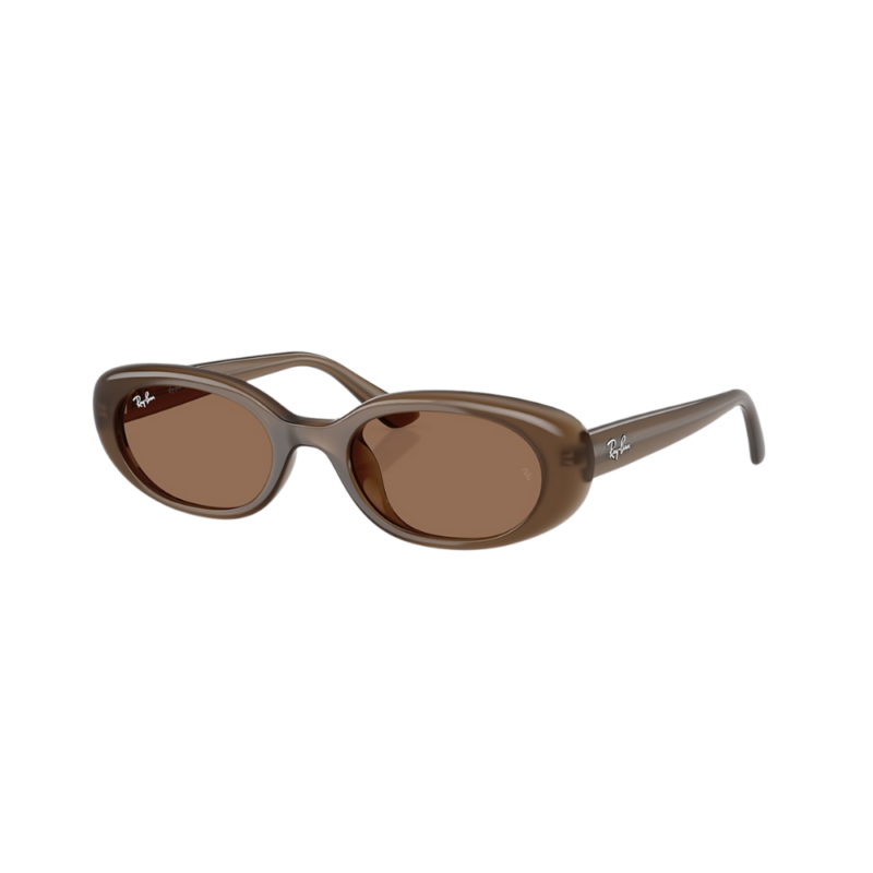 Les lunettes de soleil Ray-Ban RB4441D associent modernité, confort et authenticité. Disponibles en noir et marron avec protection UV intégrale.