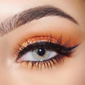 Lentilles de couleur Freshtone Sky Gray