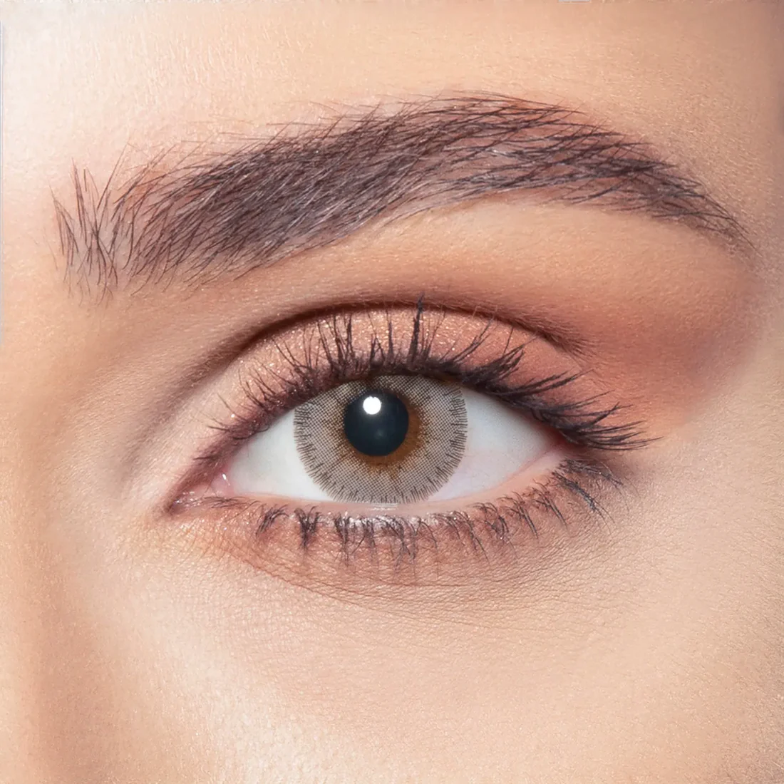 Bella Elite Amber Gray — boîte 2 lentilles