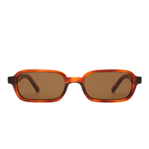 Lunettes de soleil LESPECS PILFERER couleur marron, modèle unisexe