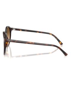Ray-Ban RB2230 BERNARD lunettes de soleil monture ronde acétate