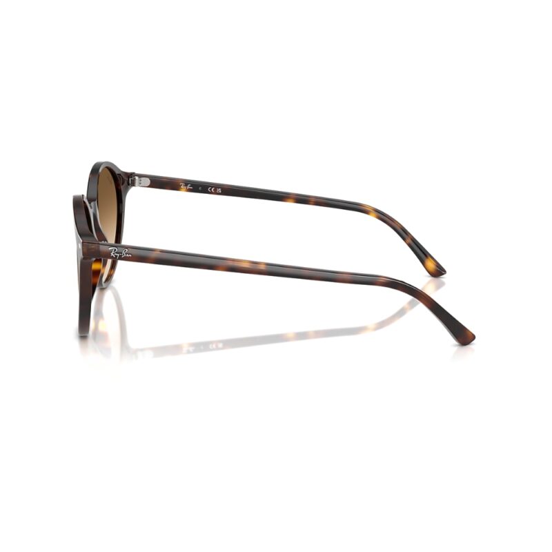 Ray-Ban RB2230 BERNARD lunettes de soleil monture ronde acétate