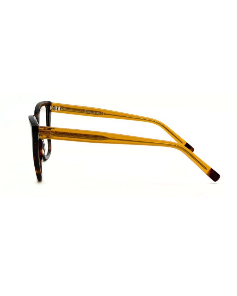 Monture optique femme marron écaille avec clip solaire - Lunettes de vue clip on femme Blue Eyes.