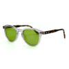 Lunettes Polarisées JOW&BRO Tunisie face transparente branches écaille marron verres verts AZZABI OPTIC