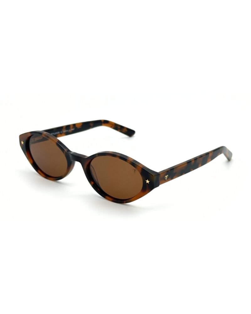 Lunettes Polarisées TUDOR 3-4 Femme Tunisie Écaille Marron T006 Lunettes Polarisées TUDOR Femme Tunisie monture écaille marron verres marron polarisés chez AZZABI OPTIC