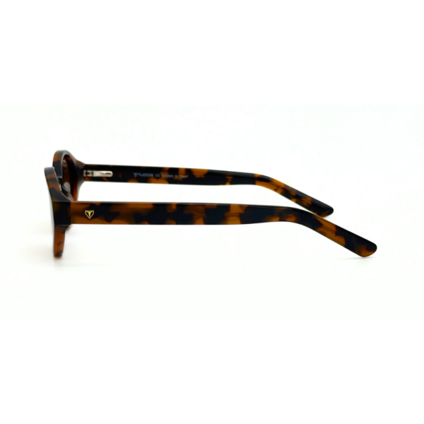 Lunettes Polarisées TUDOR branches Femme Tunisie Écaille Marron T006 Lunettes Polarisées TUDOR Femme Tunisie monture écaille marron verres marron polarisés chez AZZABI OPTIC