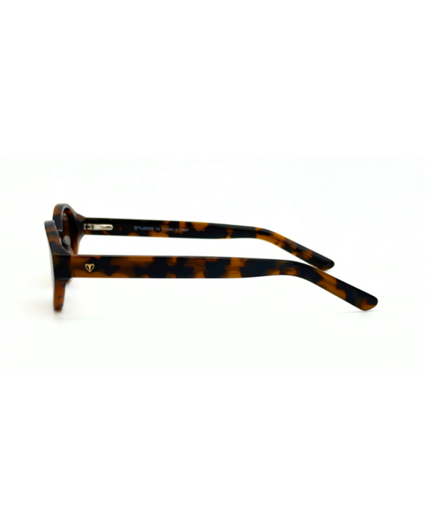 Lunettes Polarisées TUDOR Femme Tunisie monture écaille marron verres marron polarisés chez AZZABI OPTIC