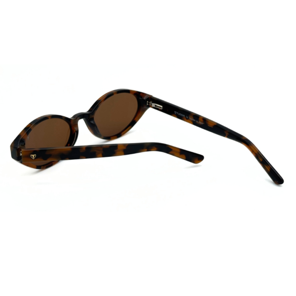 Lunettes Polarisées TUDOR Femme Tunisie Écaille Marron T006 Lunettes Polarisées TUDOR Femme Tunisie monture écaille marron verres marron polarisés chez AZZABI OPTIC