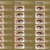 Lentilles Adore Tunisie - Azzabi Optic