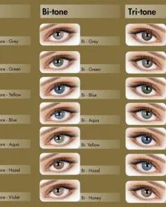 Lentilles Adore Tunisie - Azzabi Optic
