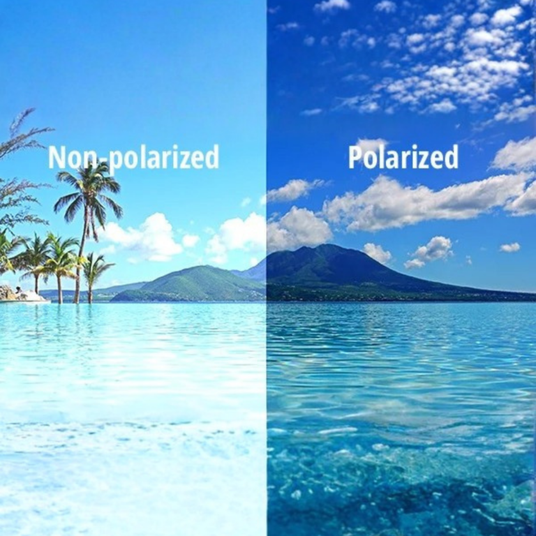 Schéma comparatif montrant l'efficacité des verres polarisés Vogue P contre les reflets éblouissants sur l'eau et la route