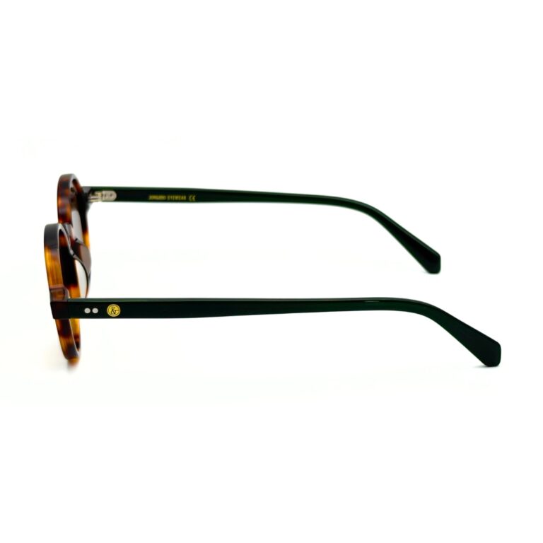 Lunettes de soleil rondes JOW and BRO DJ9143 en acétate écaille marron avec branches vert forêt et verres bruns.