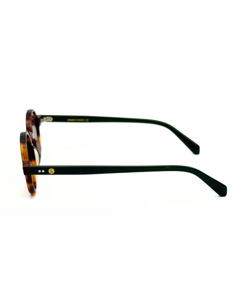 Lunettes de soleil rondes JOW and BRO DJ9143 en acétate écaille marron avec branches vert forêt et verres bruns.