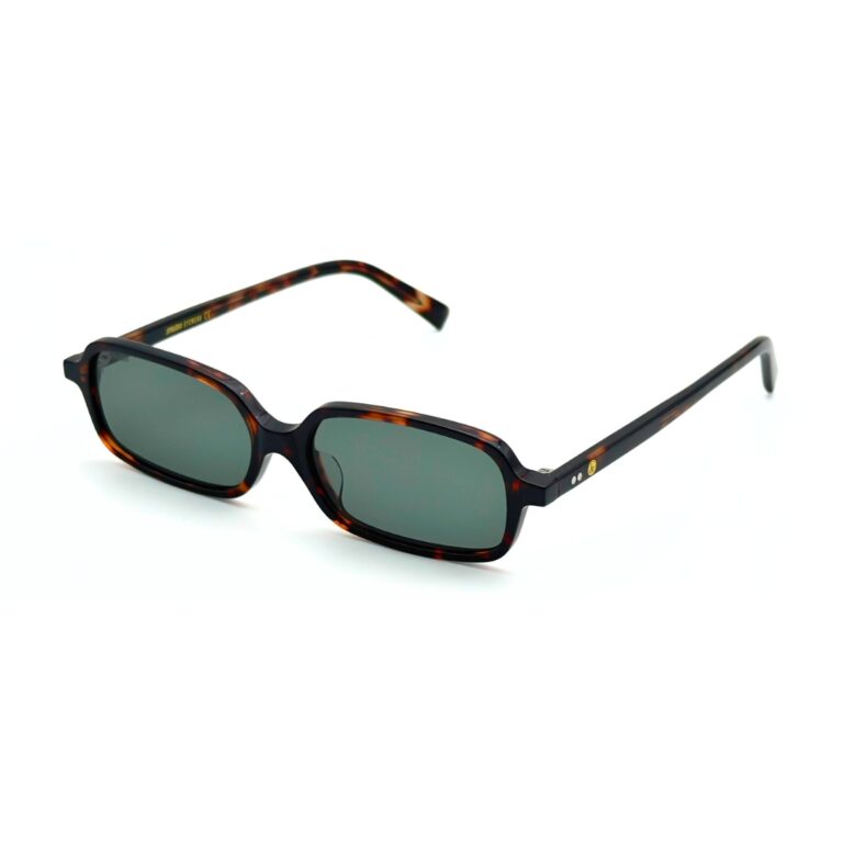 Lunettes de soleil JOW&BRO 9221 écaille marron foncé et noir avec verres solaires verts.