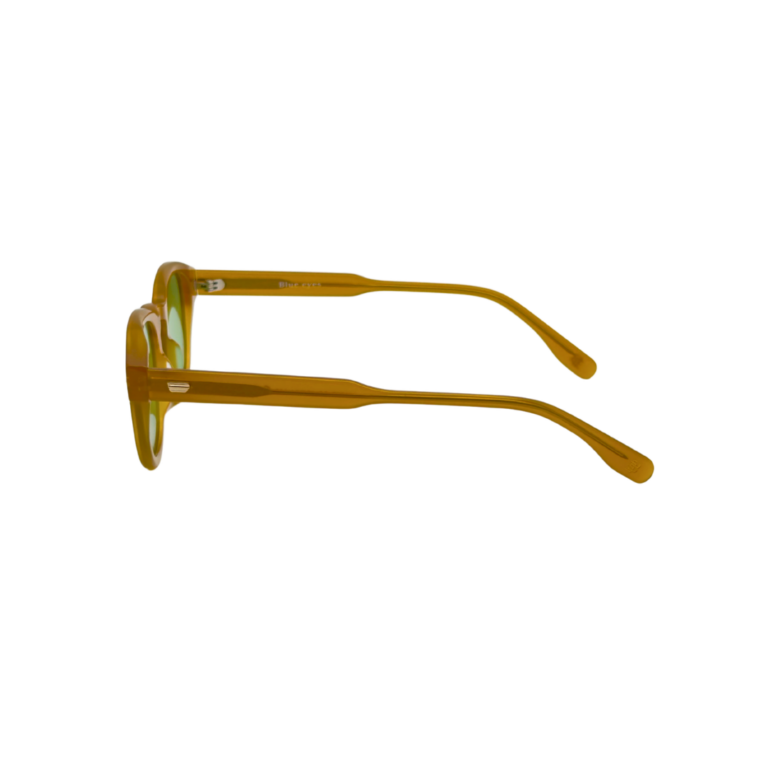 BLUE EYES AT1257 lunettes de soleil monture translucide profil