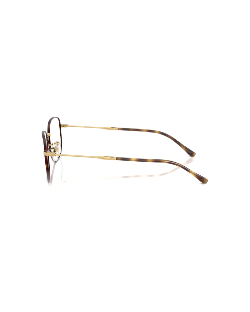 Ray-Ban RB6496 Or et Marron Écaille branches - Azzabi Optic Lunettes de vue Ray-Ban RB6496 couleur or et noir monture hexagonale vue