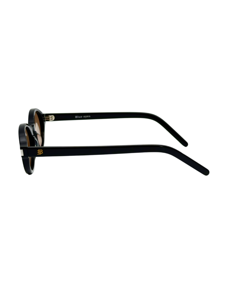 Profil de branche de lunettes solaires BLUE EYES AT1148 montrant l'épaisseur de l'acétate et la finition du tenon