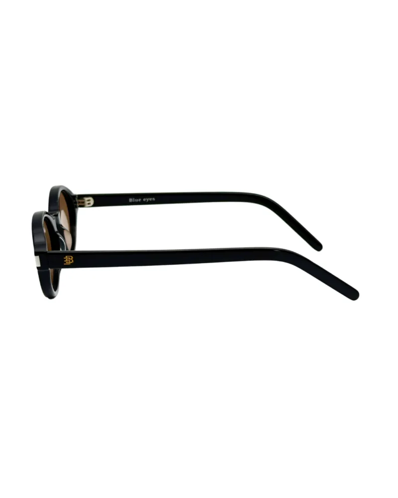 Profil de branche de lunettes solaires BLUE EYES AT1148 montrant l'épaisseur de l'acétate et la finition du tenon