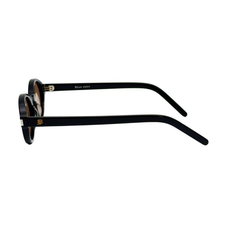 Profil de branche de lunettes solaires BLUE EYES AT1148 montrant l'épaisseur de l'acétate et la finition du tenon