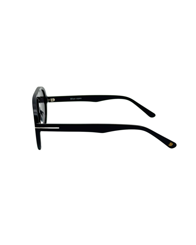 Profil branche lunettes BLUE EYES AT1255 noir détail charnière