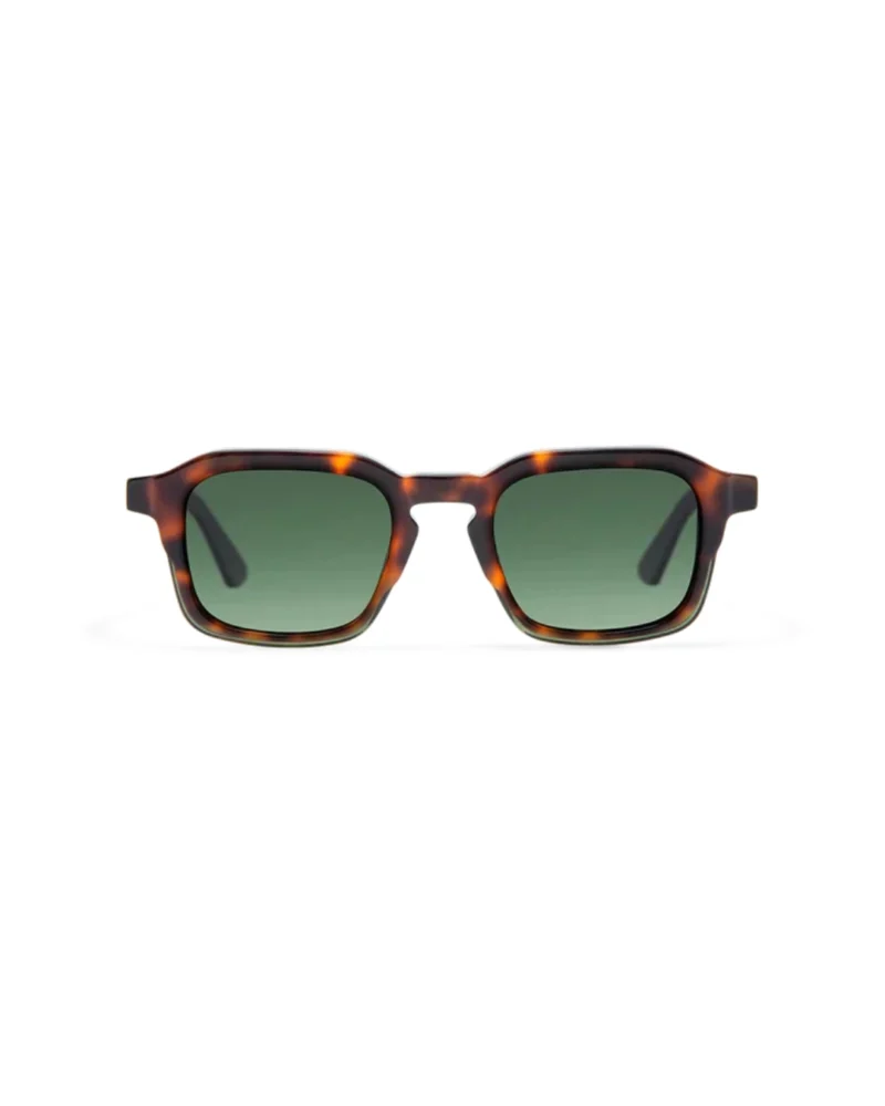 Face des Lunettes de soleil GIGI STUDIOS GS7014 JONAS écaille brun et verres verts dégradés